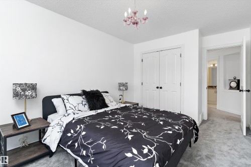 Upper #3 - 1242 Starling Drive, Edmonton, AB - Indoor Photo Showing Bedroom