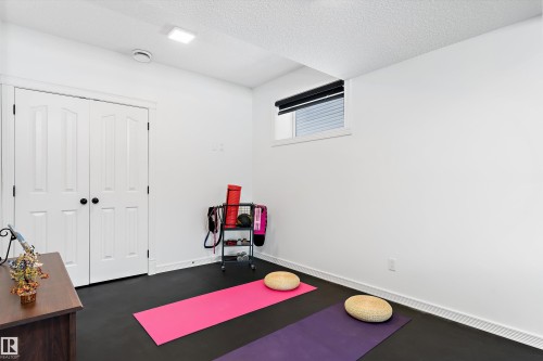 Exercise room featuring a textured ceiling - 1242 Starling Drive, Edmonton, AB - Indoor Photo Showing Other Room