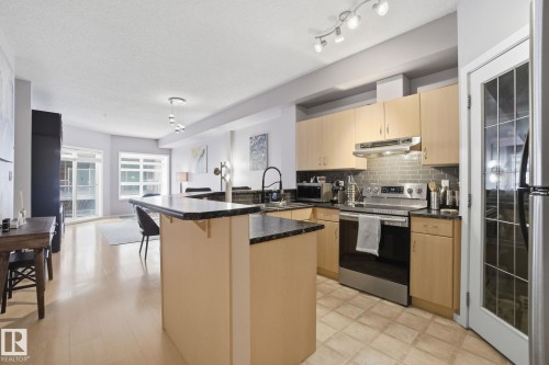 205 9910 111 Street, Edmonton, AB - Indoor Photo Showing Kitchen