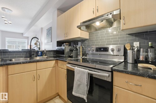 205 9910 111 Street, Edmonton, AB - Indoor Photo Showing Kitchen With Double Sink
