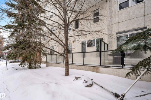 View of snowy yard - 102 10711 83 Avenue, Edmonton, AB - Outdoor