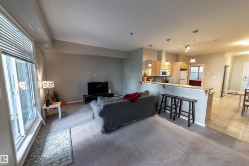 150 4827 104A Street, Edmonton, AB - Indoor Photo Showing Living Room