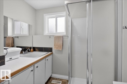 Bathroom with vanity and a shower stall - 8804 38 Avenue, Edmonton, AB - Indoor Photo Showing Bathroom