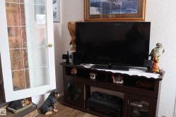 Electric Fireplace and cabinet - 