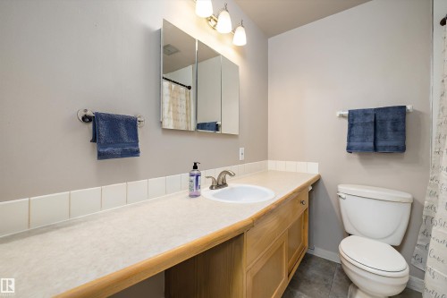 4 8803 101 Street, Edmonton, AB - Indoor Photo Showing Bathroom