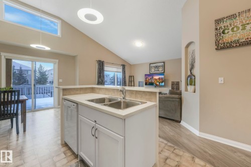 116 Castle Drive, Edmonton, AB - Indoor Photo Showing Kitchen With Double Sink