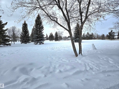 6 Dunewood Place, St. Albert, AB - Outdoor With View
