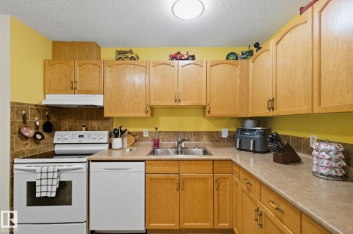 411 18004 95 Ave, Edmonton, AB - Indoor Photo Showing Kitchen With Double Sink