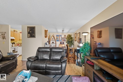 411 18004 95 Ave, Edmonton, AB - Indoor Photo Showing Living Room