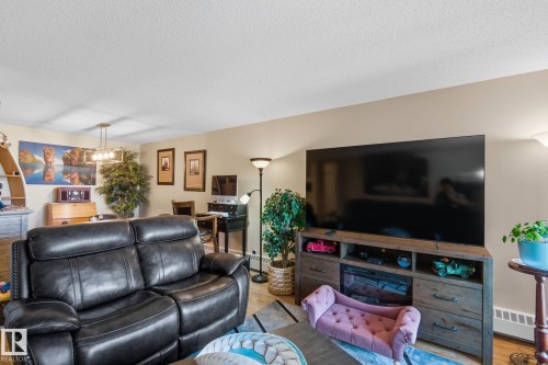 411 18004 95 Ave, Edmonton, AB - Indoor Photo Showing Living Room