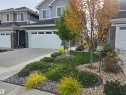 View of front of home with concrete driveway, board and batten siding, an attached garage, and a front yard - 16217 32 Avenue, Edmonton, AB  - Outdoor With Facade 