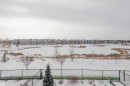 Snowy yard featuring a residential view - 16217 32 Avenue, Edmonton, AB  - Outdoor With View 