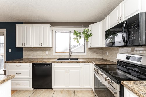16331 119 Street Nw, Edmonton, AB - Indoor Photo Showing Kitchen With Double Sink