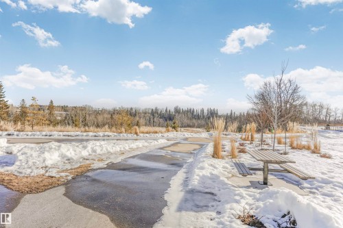 View of yard covered in snow - 16616 31 Avenue, Edmonton, AB - Outdoor With View