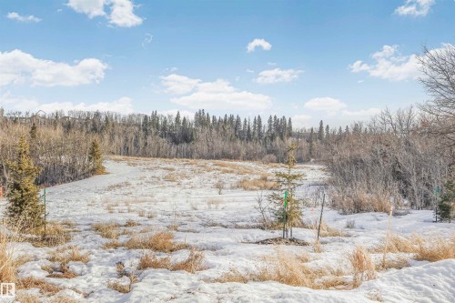 Snowy view - 16616 31 Avenue, Edmonton, AB - Outdoor With View