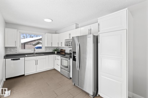 41 Patterson Crescent, St. Albert, AB - Indoor Photo Showing Kitchen With Double Sink With Upgraded Kitchen