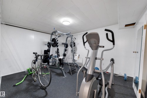 14712 Park Drive, Edmonton, AB - Indoor Photo Showing Gym Room