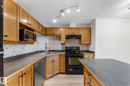 201 5340 199 Street, Edmonton, AB - Indoor Photo Showing Kitchen With Double Sink