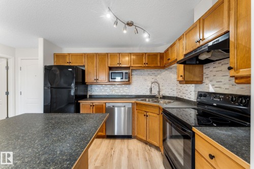 201 5340 199 Street, Edmonton, AB - Indoor Photo Showing Kitchen With Double Sink
