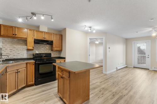 201 5340 199 Street, Edmonton, AB - Indoor Photo Showing Kitchen With Double Sink