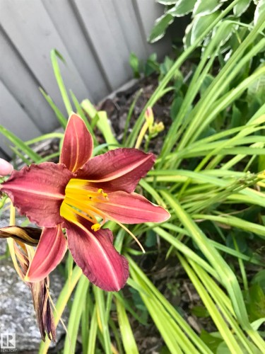 10 Oakridge Drive S, St. Albert, AB - 