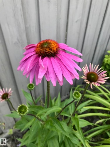 10 Oakridge Drive S, St. Albert, AB - Indoor Photo Showing Bedroom