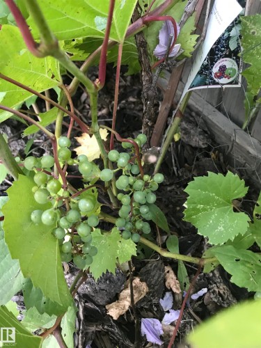 10 Oakridge Drive S, St. Albert, AB - 