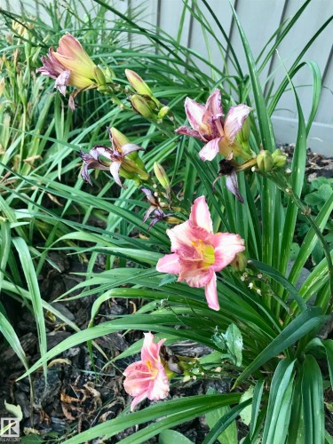 10 Oakridge Drive S, St. Albert, AB - 