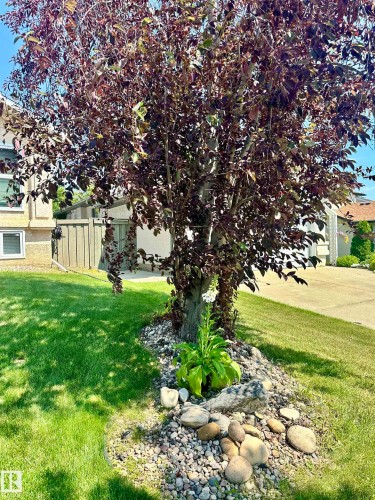 10 Oakridge Drive S, St. Albert, AB - Outdoor