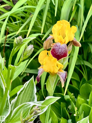 10 Oakridge Drive S, St. Albert, AB - 