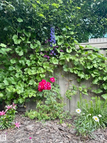 10 Oakridge Drive S, St. Albert, AB - Outdoor