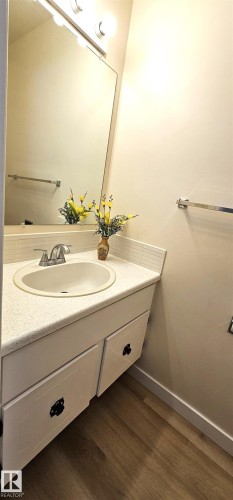 12A Castle Terrace, Edmonton, AB - Indoor Photo Showing Bathroom