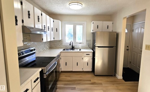 12A Castle Terrace, Edmonton, AB - Indoor Photo Showing Kitchen With Double Sink