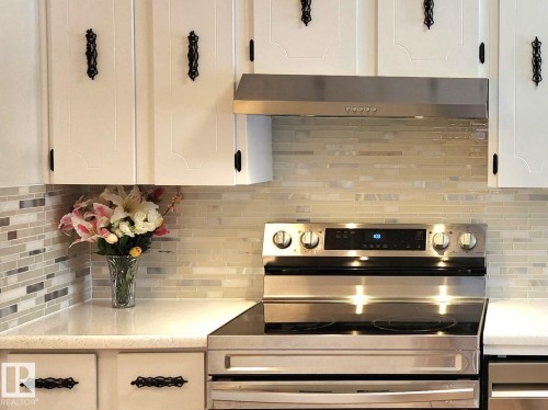 12A Castle Terrace, Edmonton, AB - Indoor Photo Showing Kitchen With Upgraded Kitchen