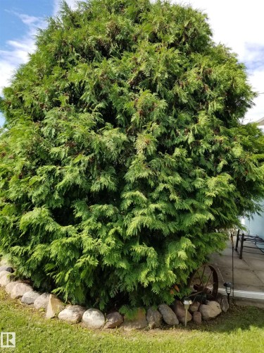 5307 Willow Drive, Boyle, AB - Outdoor