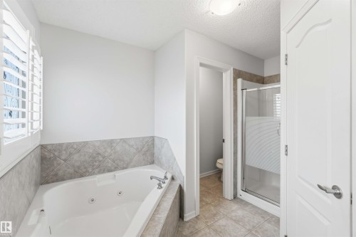 9 3003 34 Avenue, Edmonton, AB - Indoor Photo Showing Bathroom