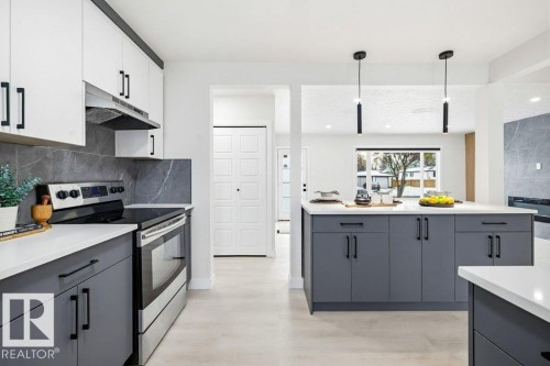 16206 83 Avenue, Edmonton, AB - Indoor Photo Showing Kitchen With Upgraded Kitchen