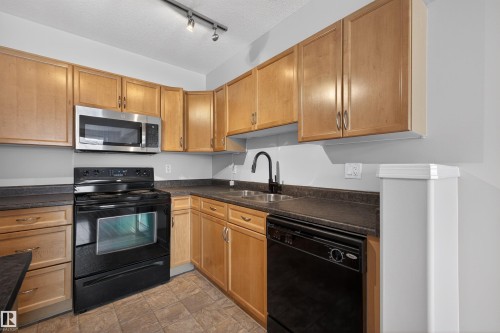 102 1589 Glastonbury Boulevard, Edmonton, AB - Indoor Photo Showing Kitchen With Double Sink