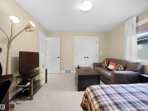2019 Cameron Ravine Way, Edmonton, AB - Indoor Photo Showing Living Room