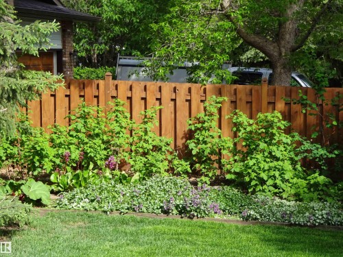 41 Pineridge Crescent, St. Albert, AB - Outdoor