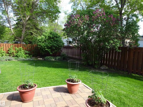 41 Pineridge Crescent, St. Albert, AB - Outdoor With Backyard