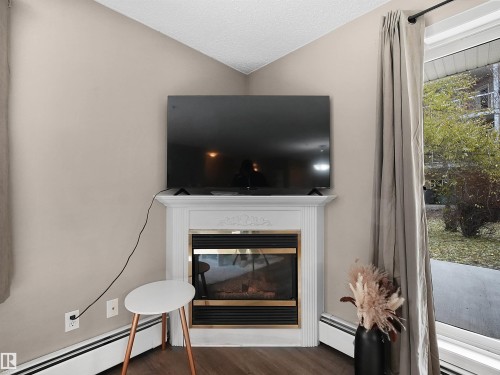 102 10511 42 Avenue, Edmonton, AB - Indoor Photo Showing Living Room With Fireplace