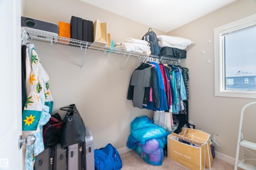 Walk in closet with carpet floors - 149 Hawks Ridge Boulevard, Edmonton, AB - Indoor With Storage