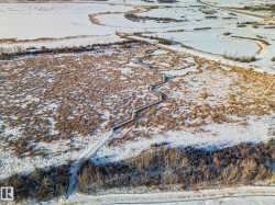 Walkway through the bird sanctuary! - 