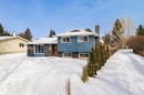 29 Laydon Drive, St. Albert, AB  - Outdoor With Facade 