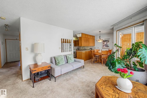 41 903 109 Street Nw, Edmonton, AB - Indoor Photo Showing Living Room