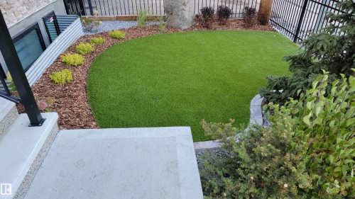 View of fenced backyard - 10038 142 Street, Edmonton, AB - Outdoor