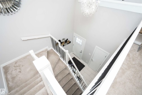 Stairway featuring a high ceiling, a chandelier, and carpet - 43 1703 16 Avenue, Edmonton, AB - Indoor Photo Showing Other Room