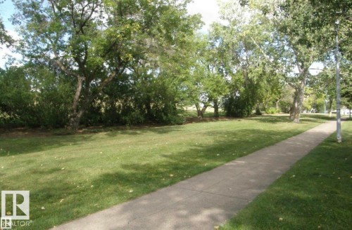 View of grassy yard with view of scattered trees - 14648 54 Street, Edmonton, AB - Outdoor