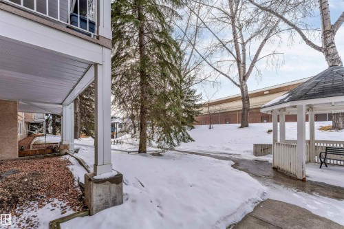 Yard covered in snow featuring a gazebo - 107 9760 176 St, Edmonton, AB - Outdoor
